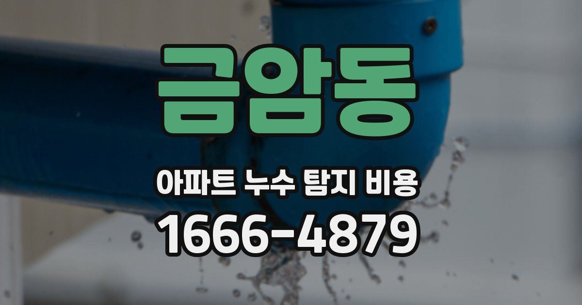 금암동 아파트 누수 탐지 비용