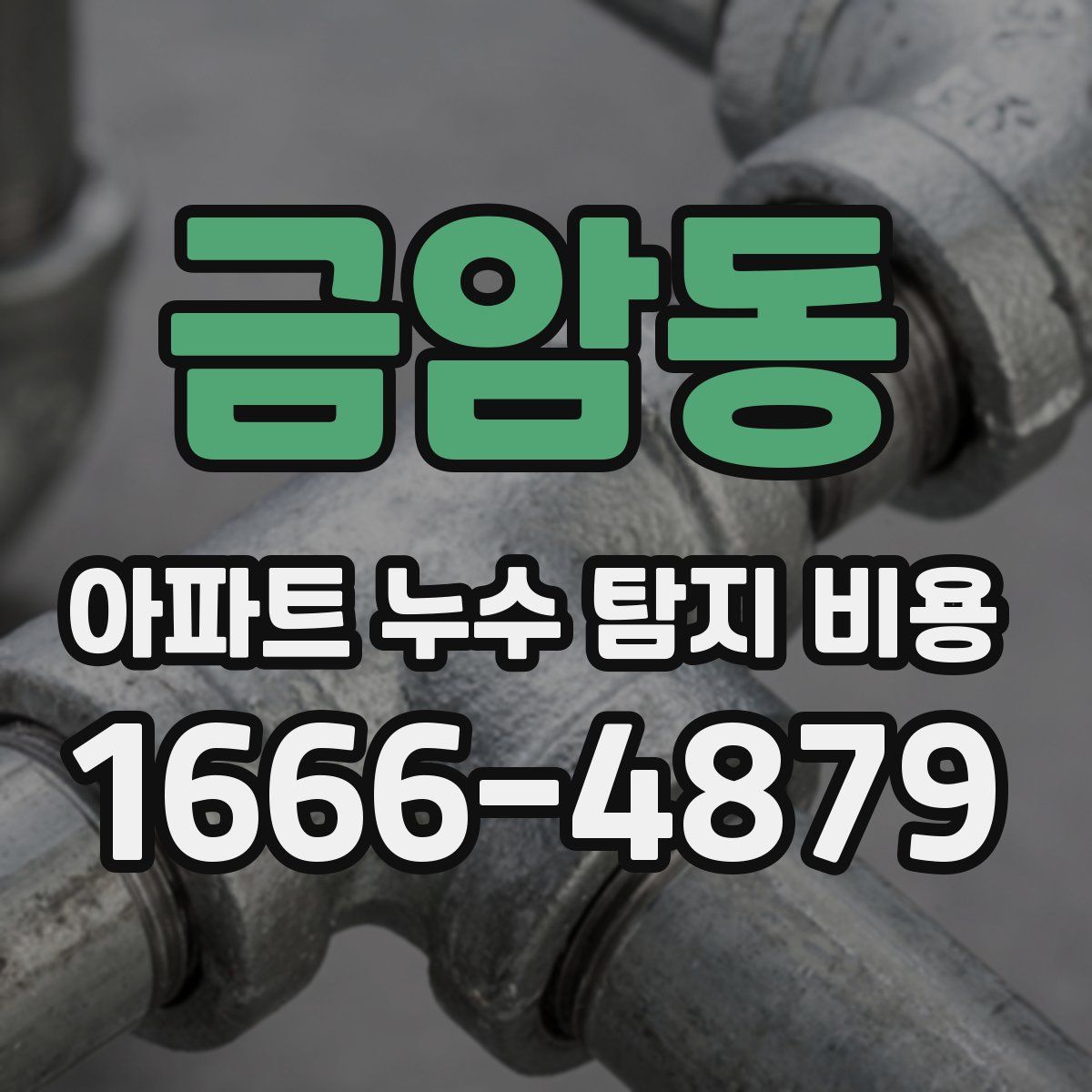 금암동 아파트 누수 탐지 비용