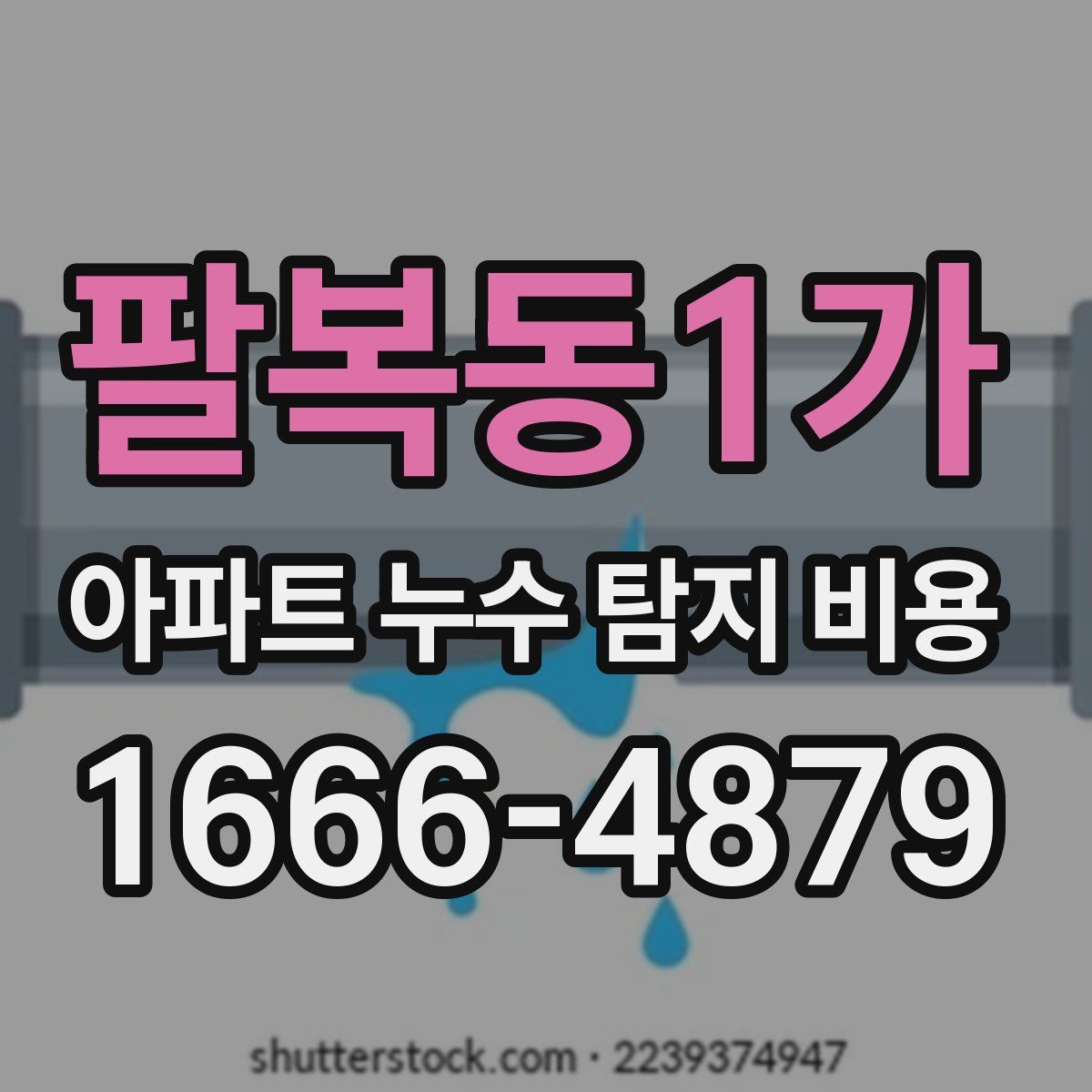 팔복동1가 아파트 누수 탐지 비용
