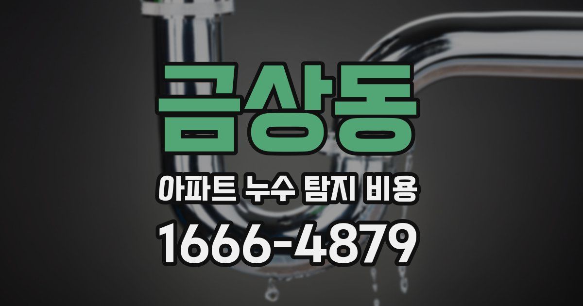 금상동 아파트 누수 탐지 비용