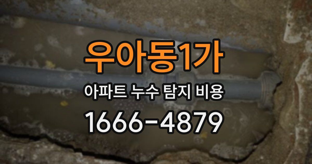 우아동1가 아파트 누수 탐지 비용