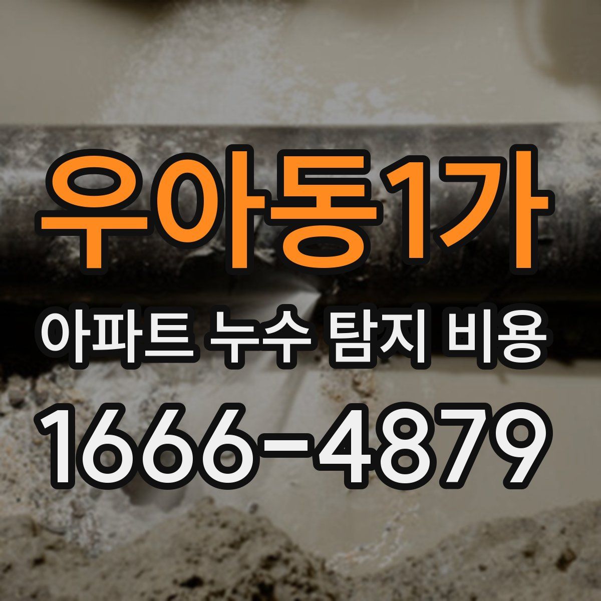 우아동1가 아파트 누수 탐지 비용