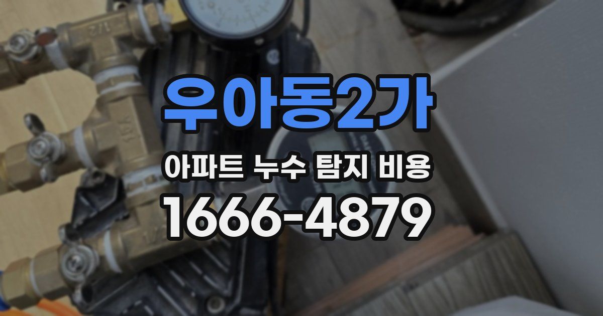 우아동2가 아파트 누수 탐지 비용