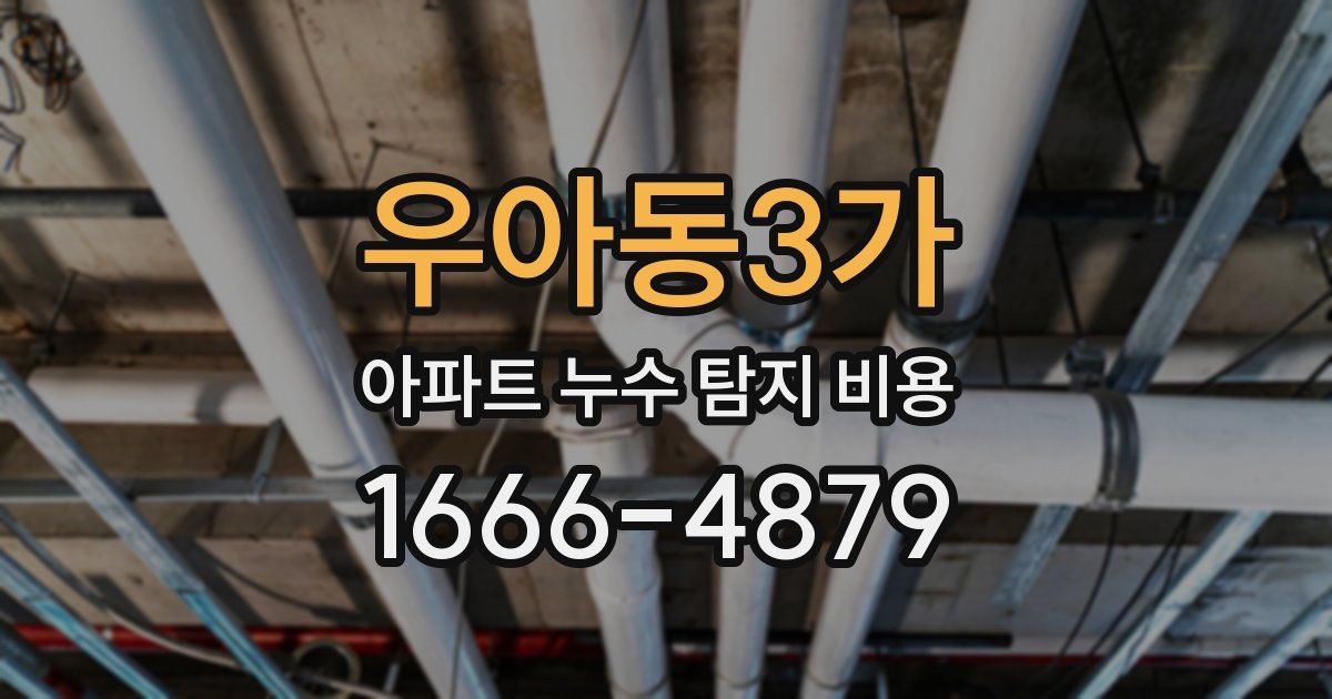우아동3가 아파트 누수 탐지 비용