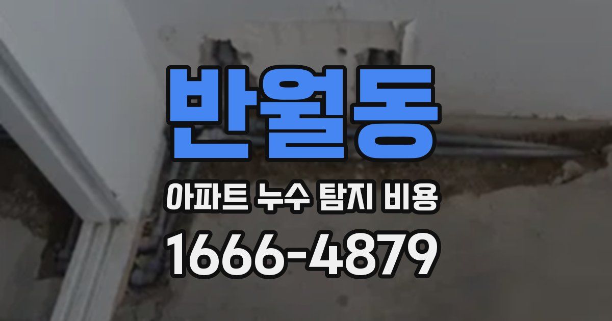 반월동 아파트 누수 탐지 비용