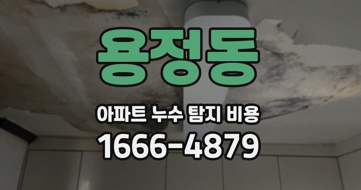 용정동 아파트 누수 탐지 비용