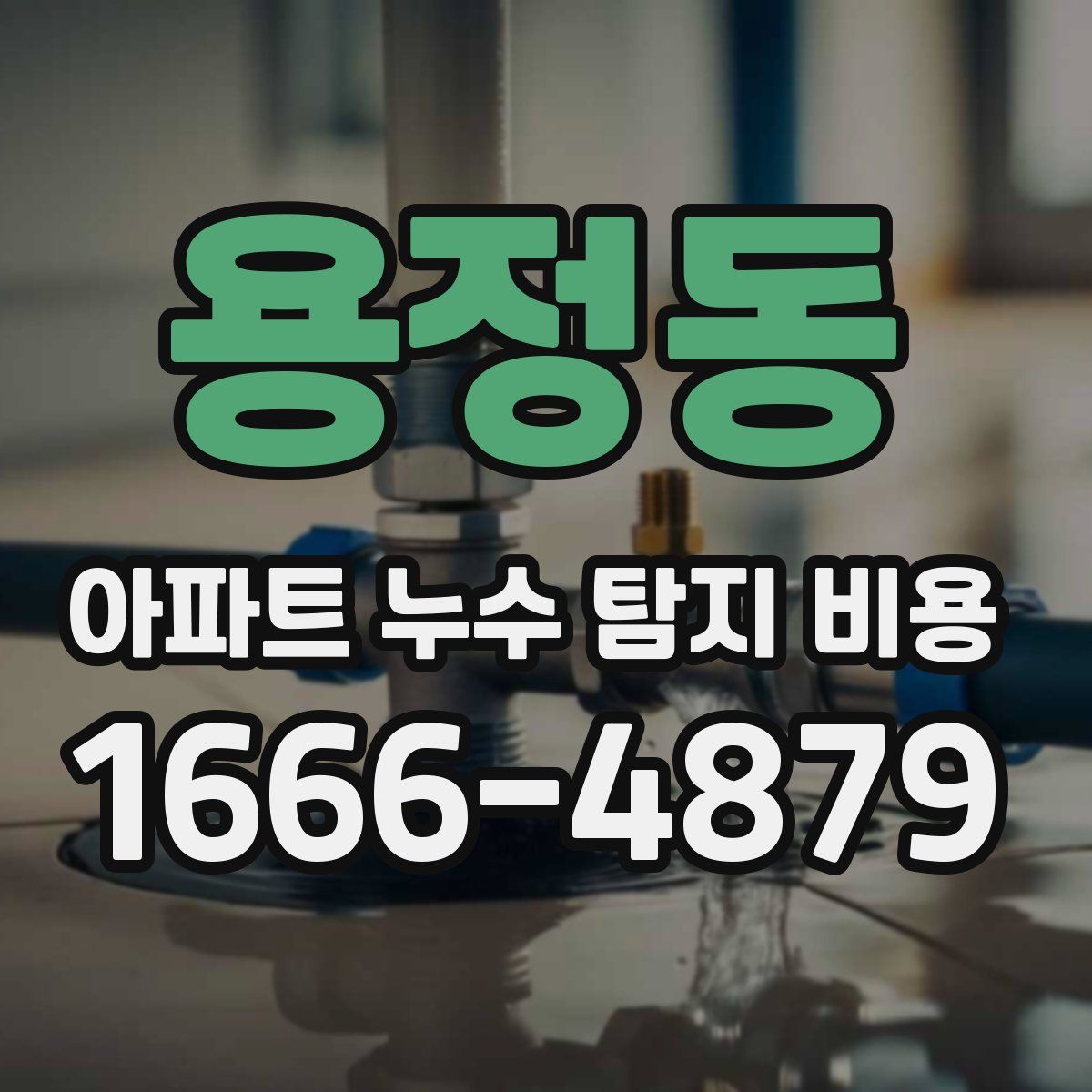 용정동 아파트 누수 탐지 비용