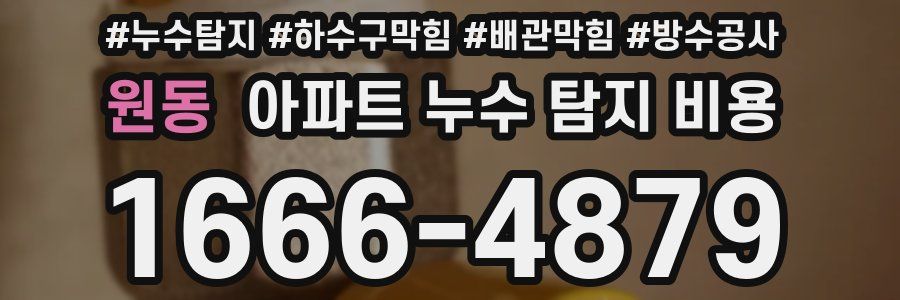 원동 아파트 누수 탐지 비용