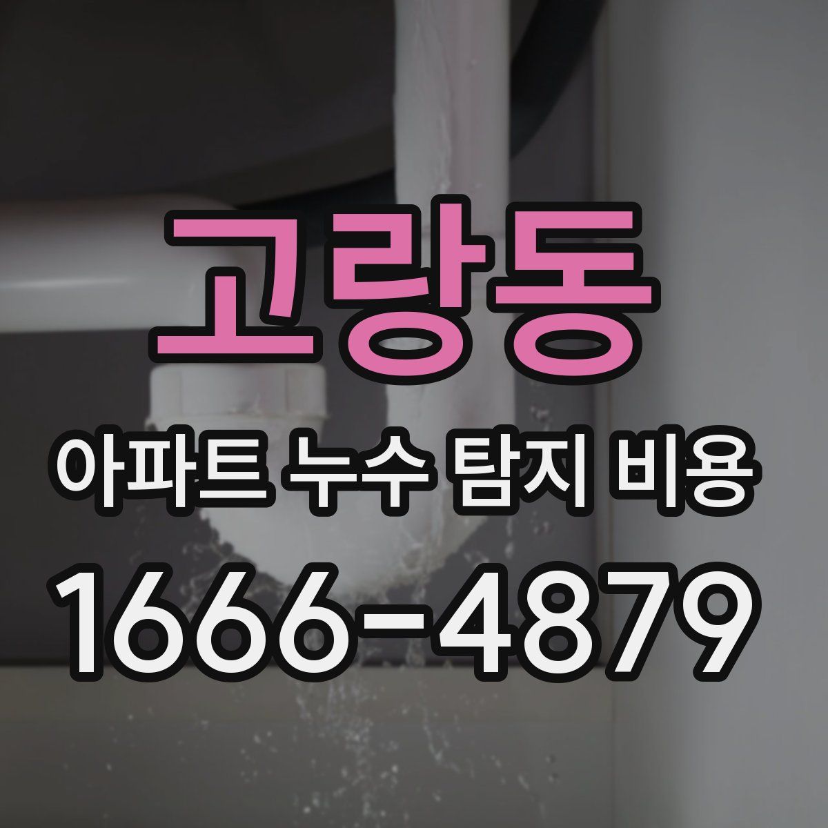 고랑동 아파트 누수 탐지 비용