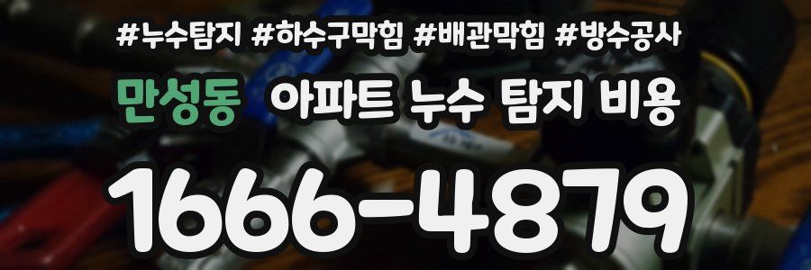 만성동 아파트 누수 탐지 비용
