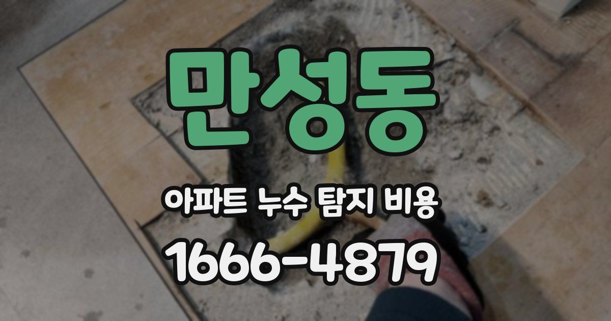 만성동 아파트 누수 탐지 비용
