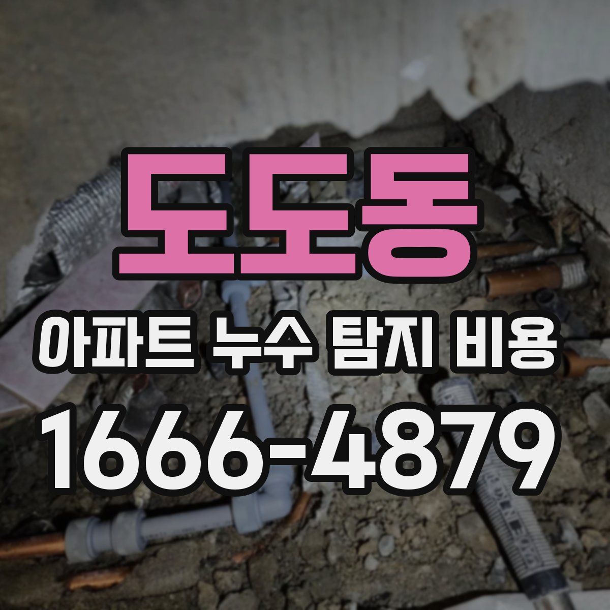 도도동 아파트 누수 탐지 비용