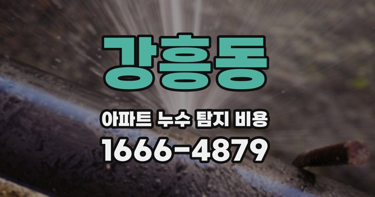 강흥동 아파트 누수 탐지 비용