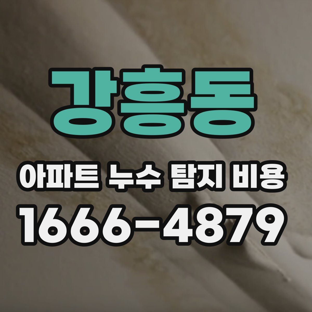 강흥동 아파트 누수 탐지 비용