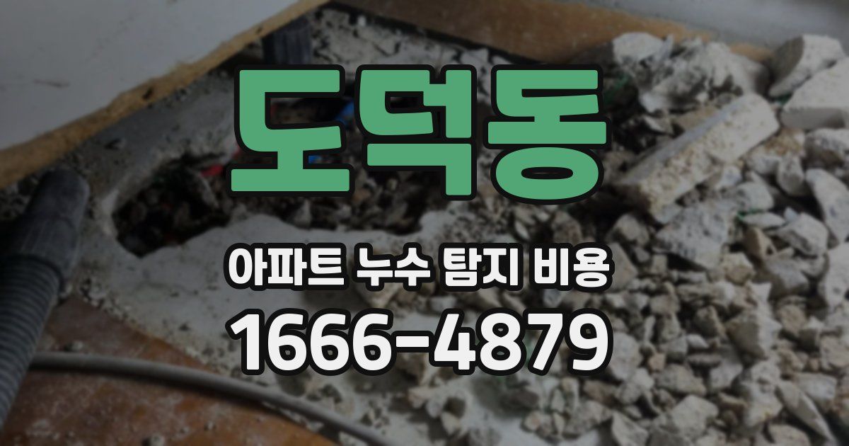 도덕동 아파트 누수 탐지 비용