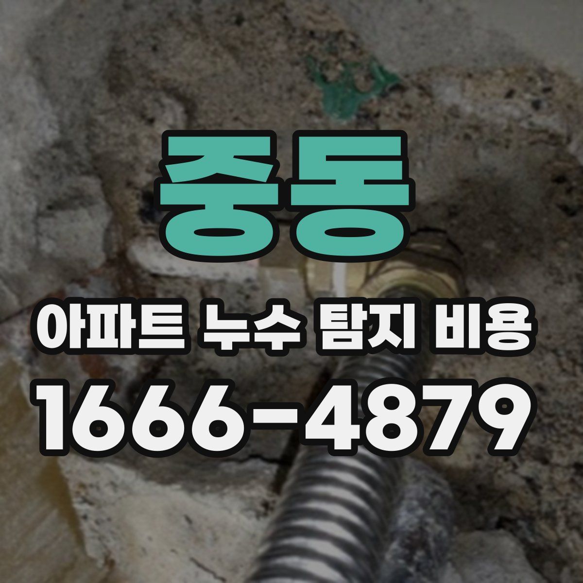 중동 아파트 누수 탐지 비용