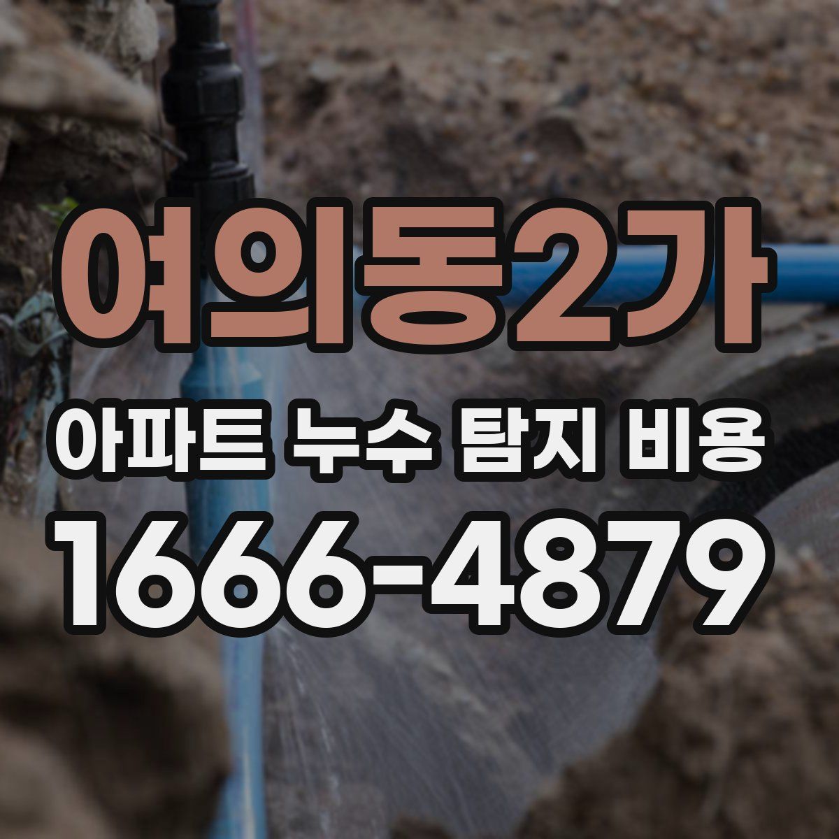 여의동2가 아파트 누수 탐지 비용
