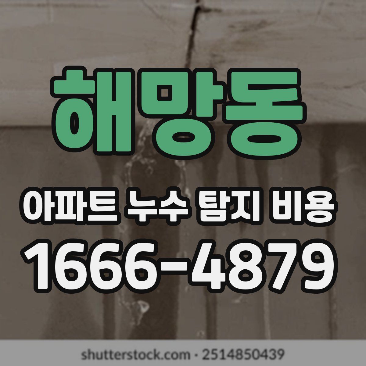 해망동 아파트 누수 탐지 비용