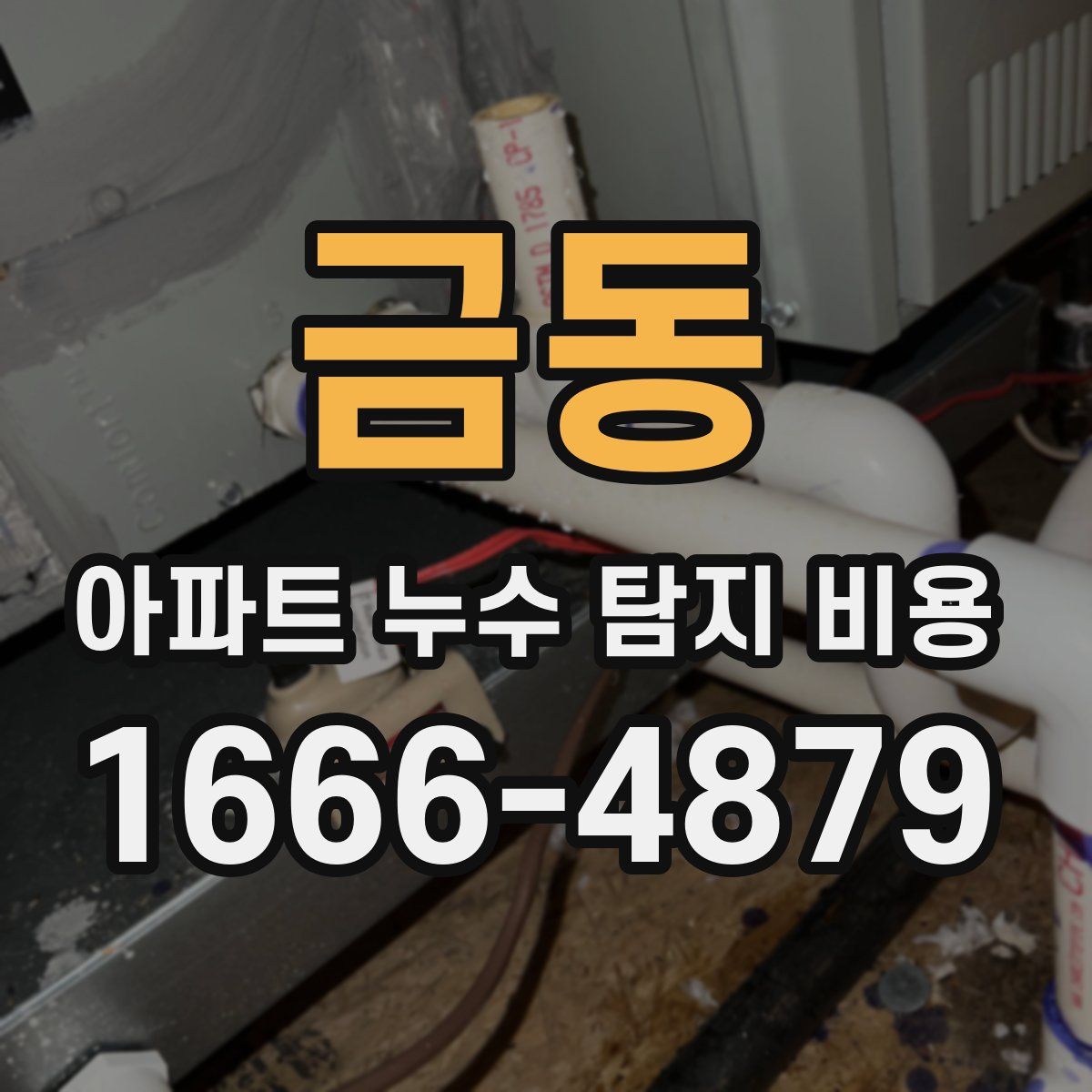 금동 아파트 누수 탐지 비용