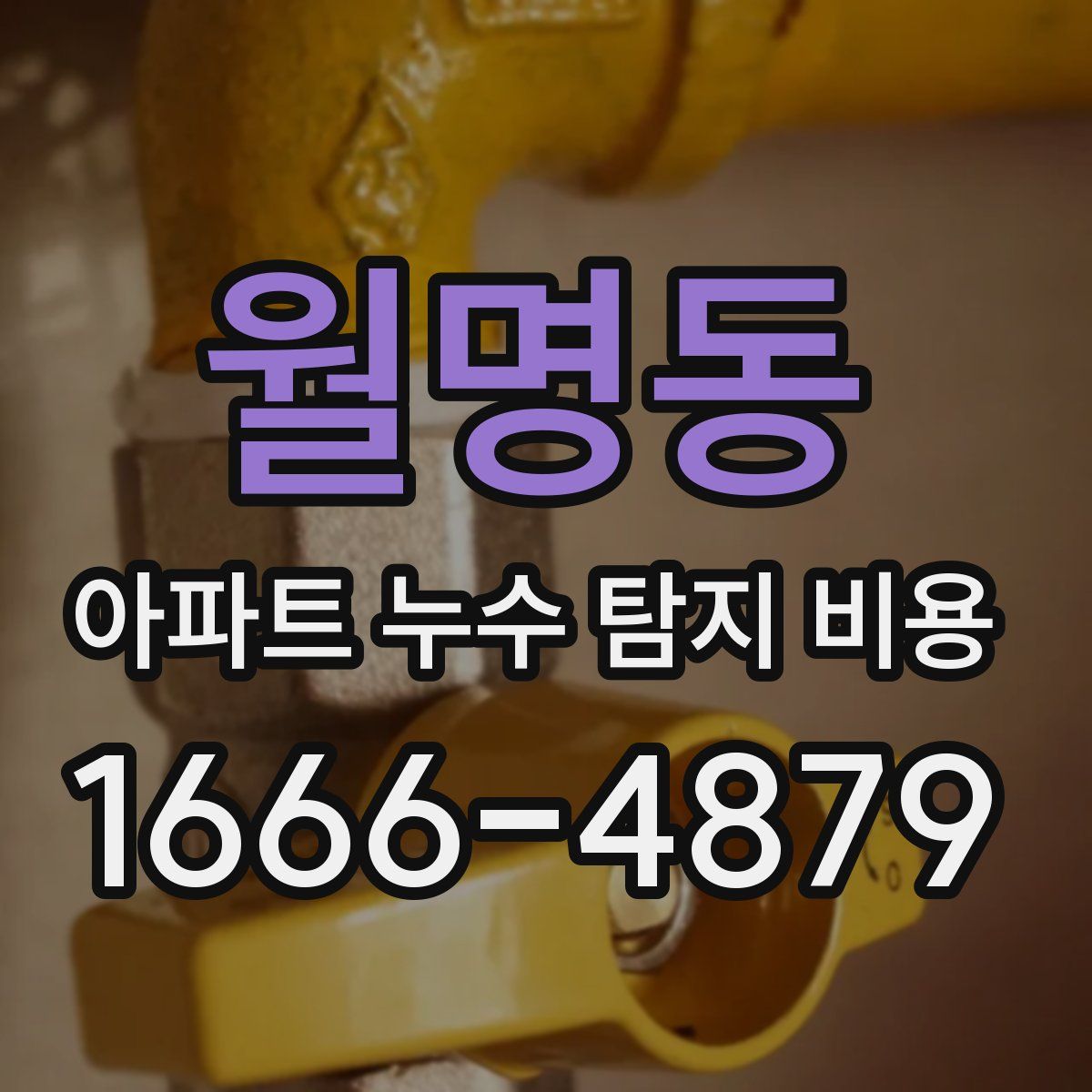 월명동 아파트 누수 탐지 비용