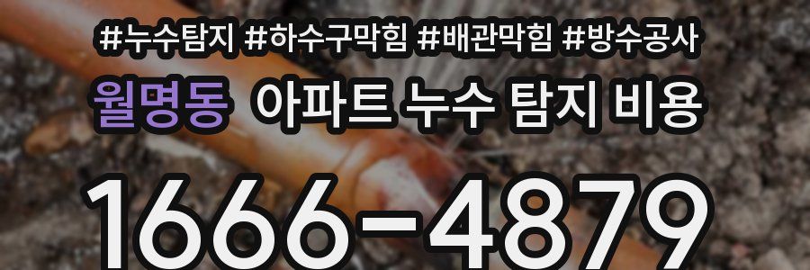 월명동 아파트 누수 탐지 비용