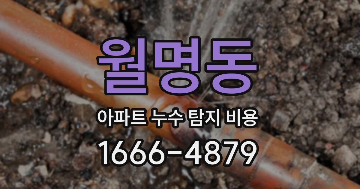 월명동 아파트 누수 탐지 비용