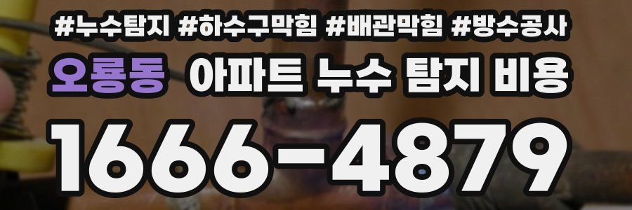 오룡동 아파트 누수 탐지 비용