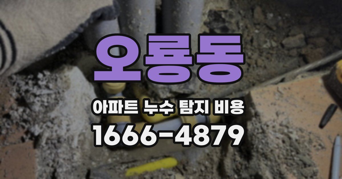 오룡동 아파트 누수 탐지 비용