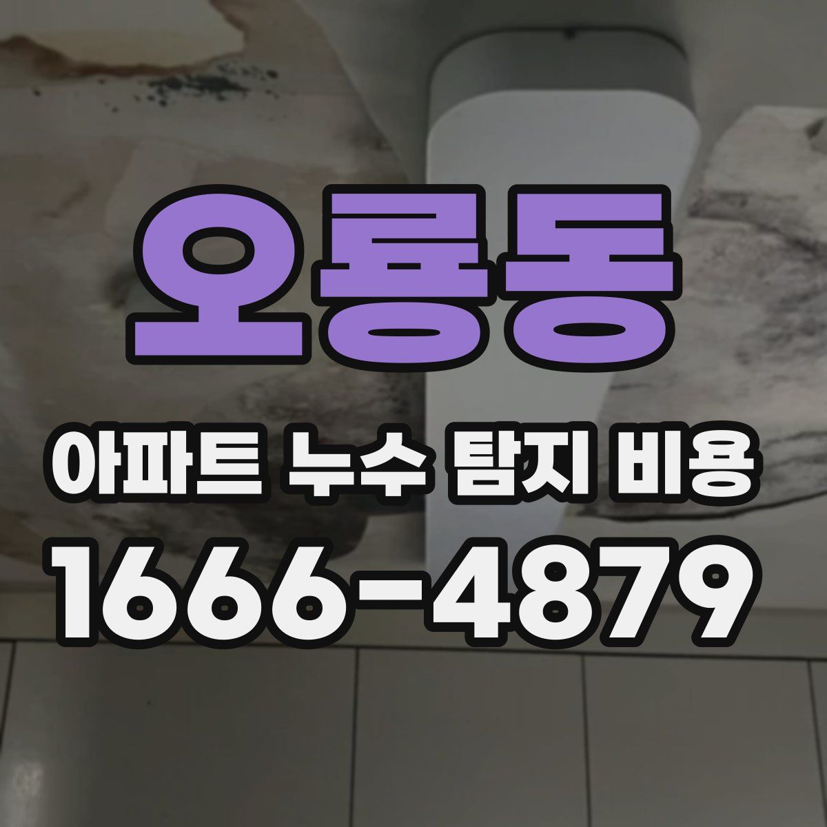 오룡동 아파트 누수 탐지 비용