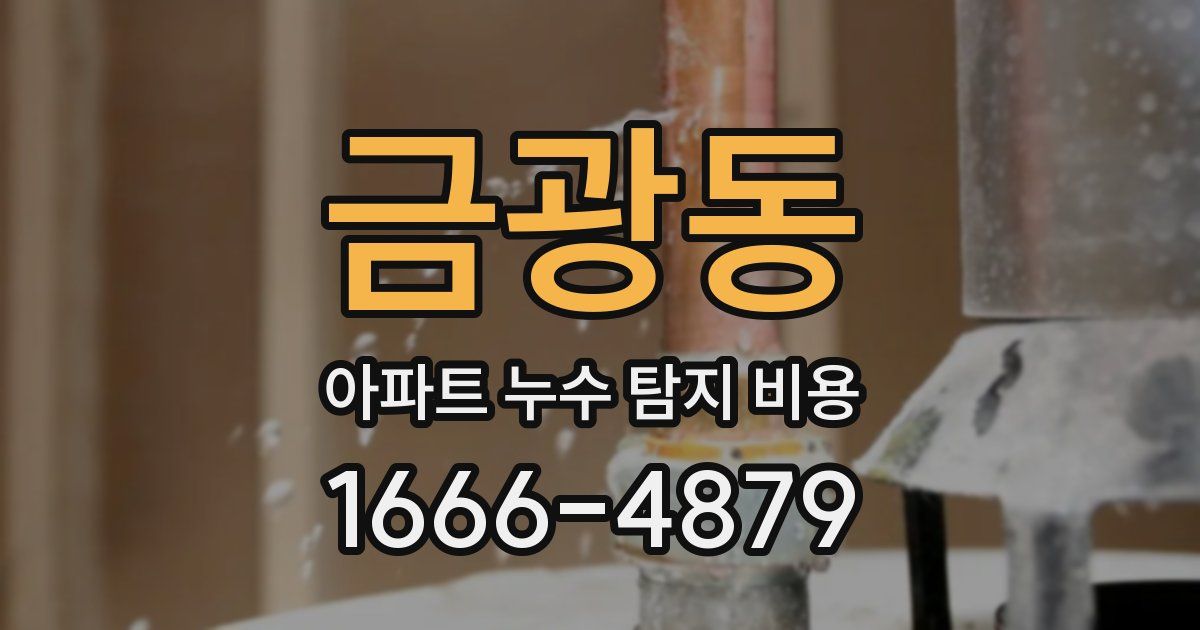 금광동 아파트 누수 탐지 비용