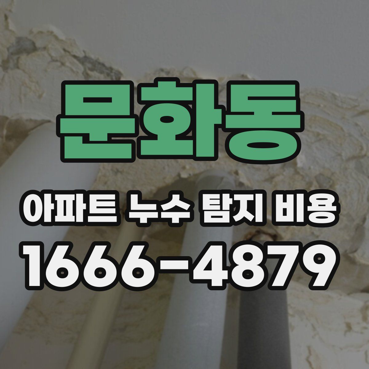 문화동 아파트 누수 탐지 비용
