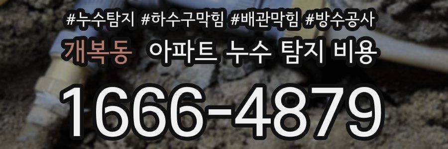 개복동 아파트 누수 탐지 비용
