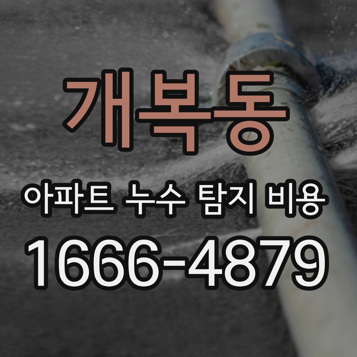 개복동 아파트 누수 탐지 비용