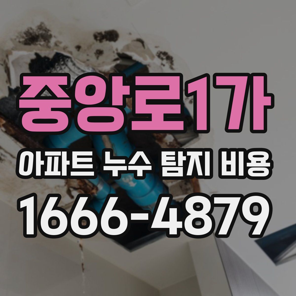 중앙로1가 아파트 누수 탐지 비용