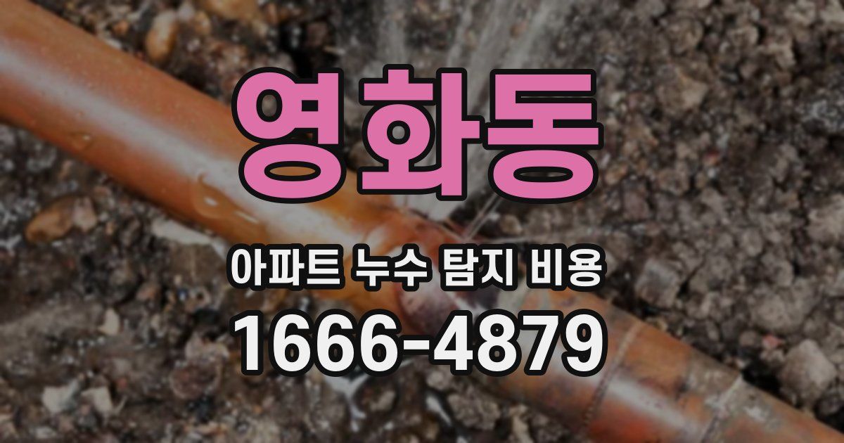 영화동 아파트 누수 탐지 비용