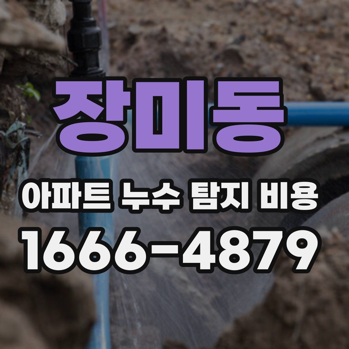장미동 아파트 누수 탐지 비용