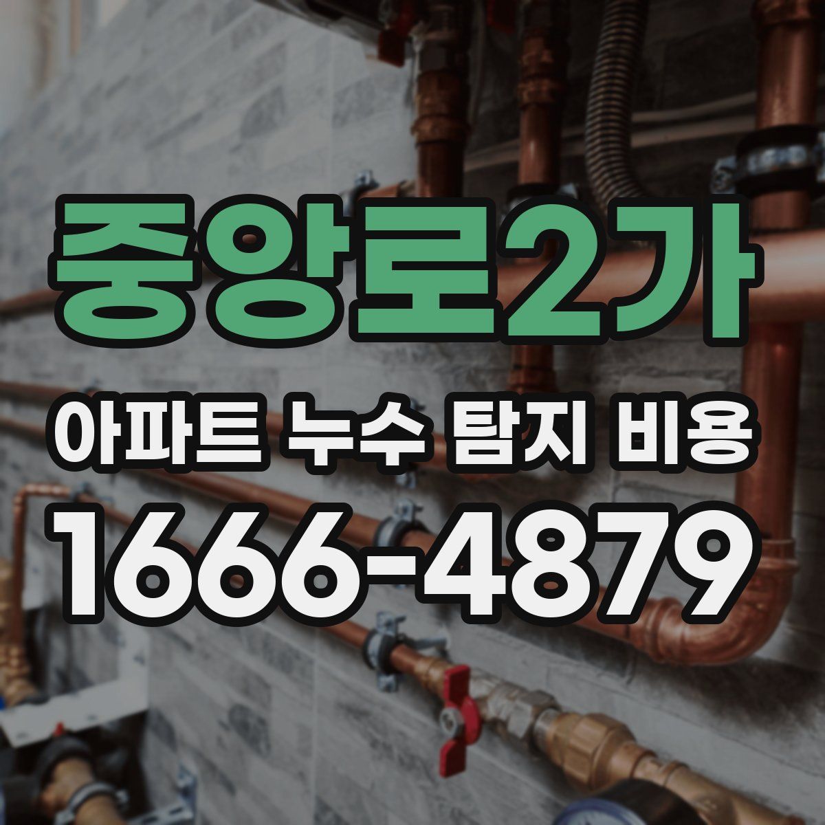 중앙로2가 아파트 누수 탐지 비용