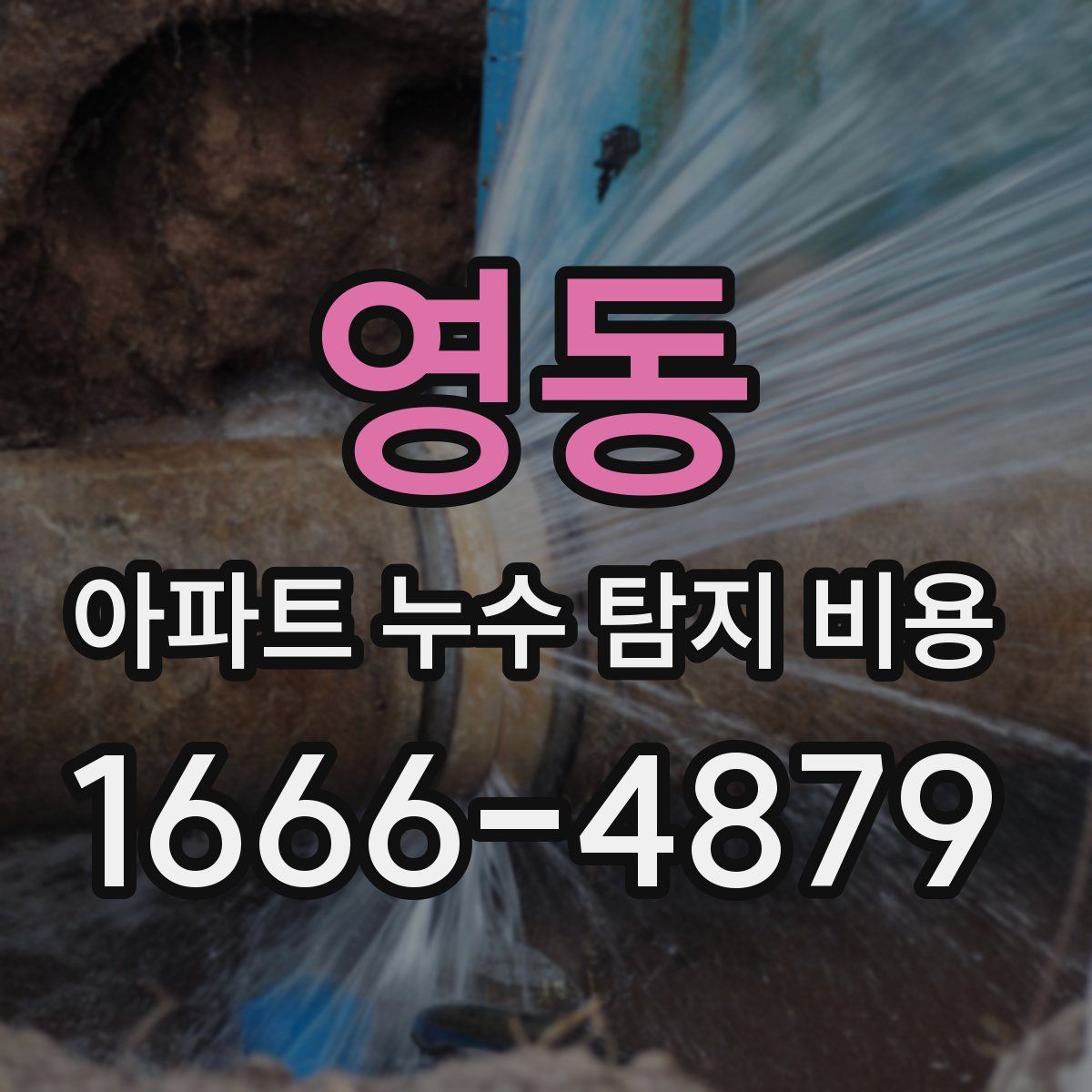영동 아파트 누수 탐지 비용