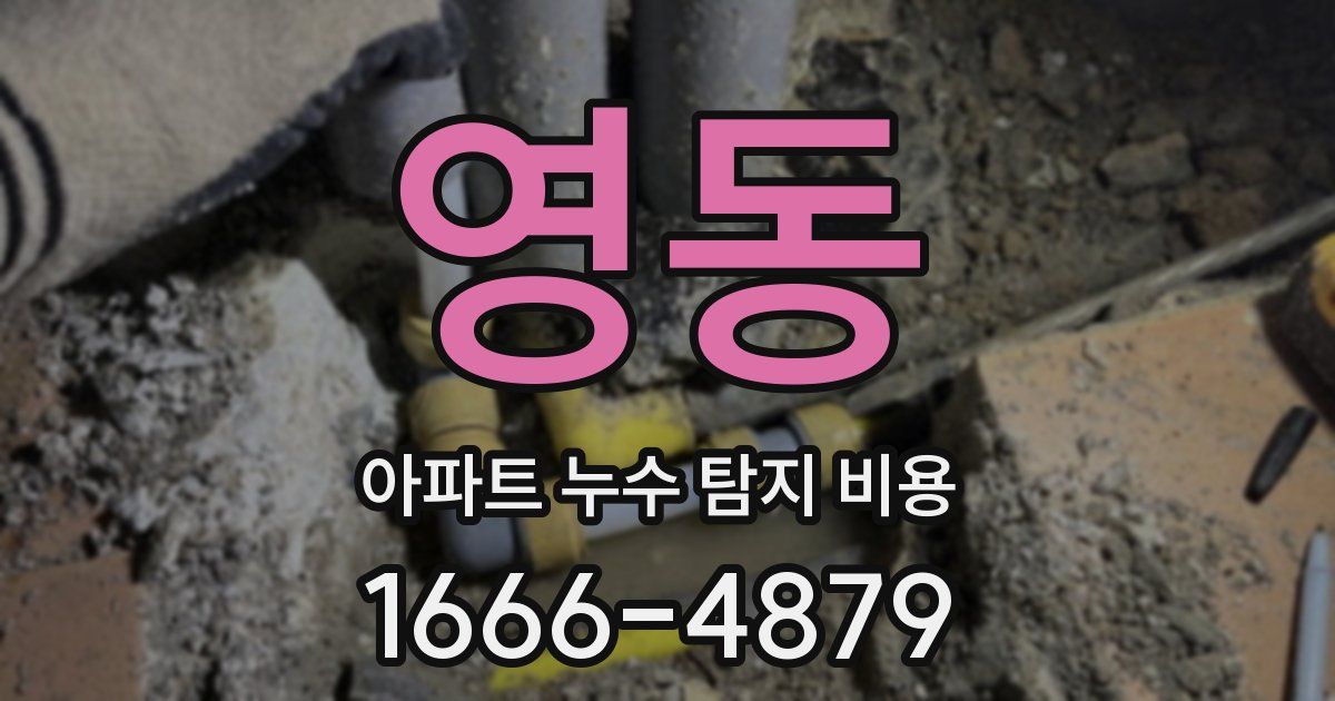 영동 아파트 누수 탐지 비용