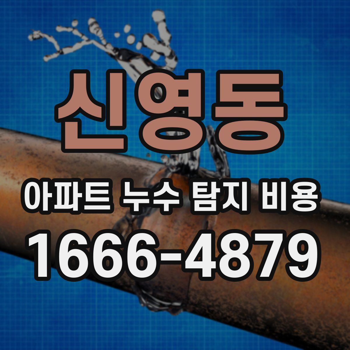 신영동 아파트 누수 탐지 비용