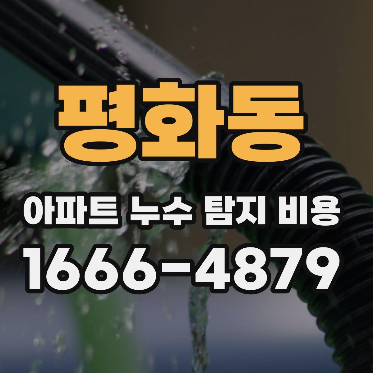 평화동 아파트 누수 탐지 비용