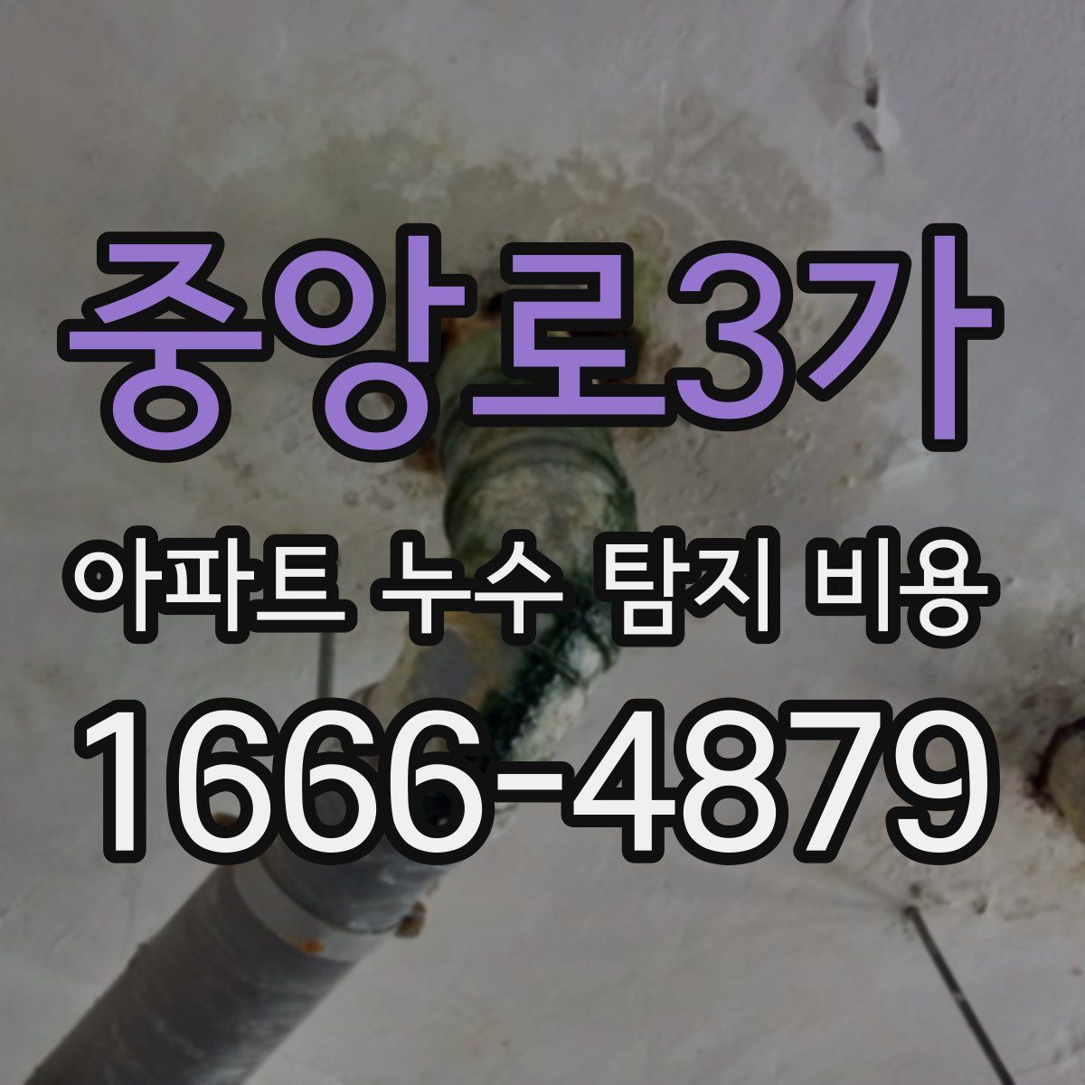 중앙로3가 아파트 누수 탐지 비용