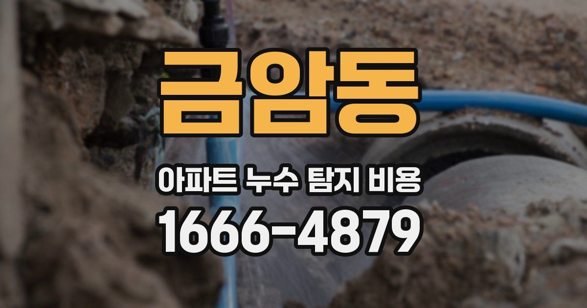 금암동 아파트 누수 탐지 비용