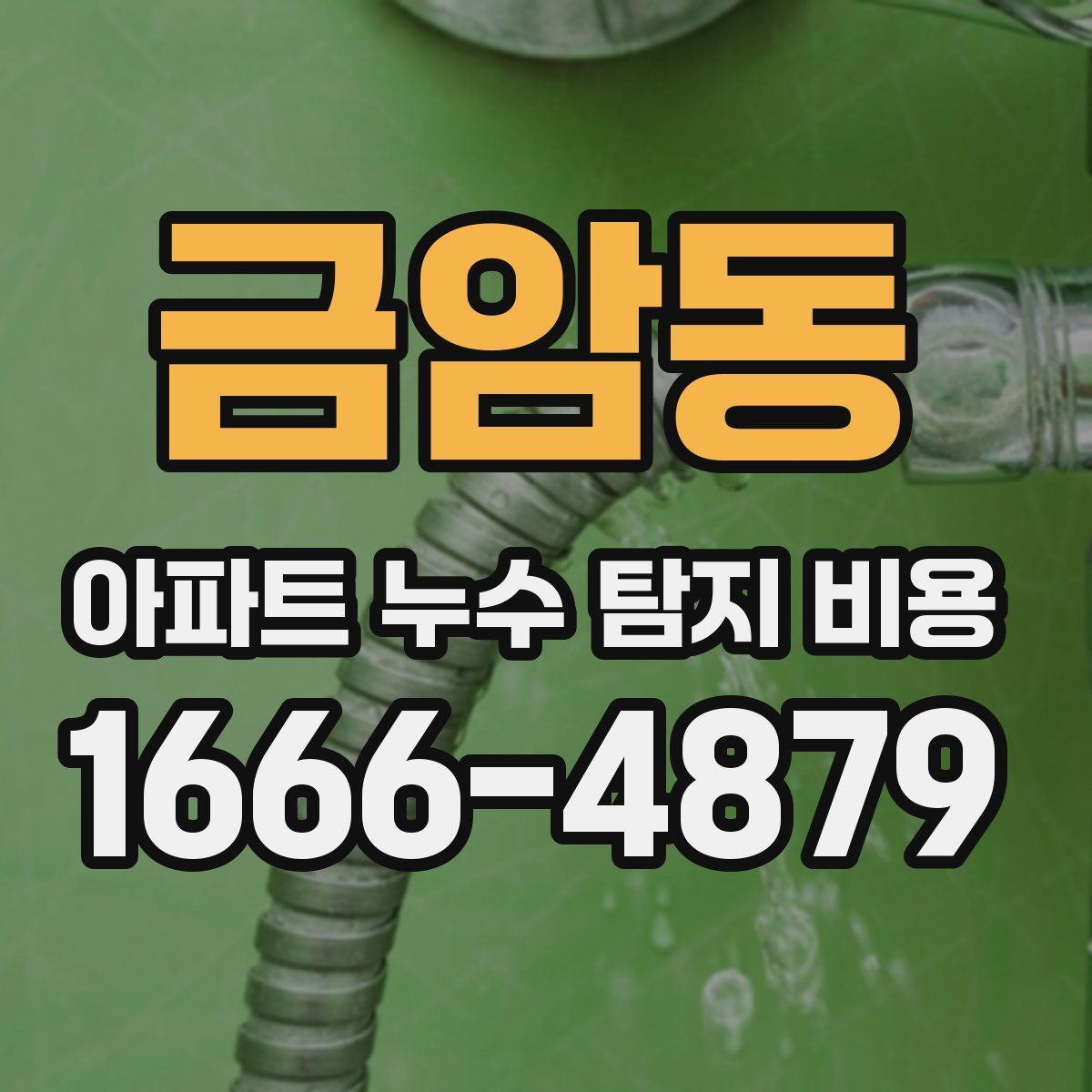 금암동 아파트 누수 탐지 비용
