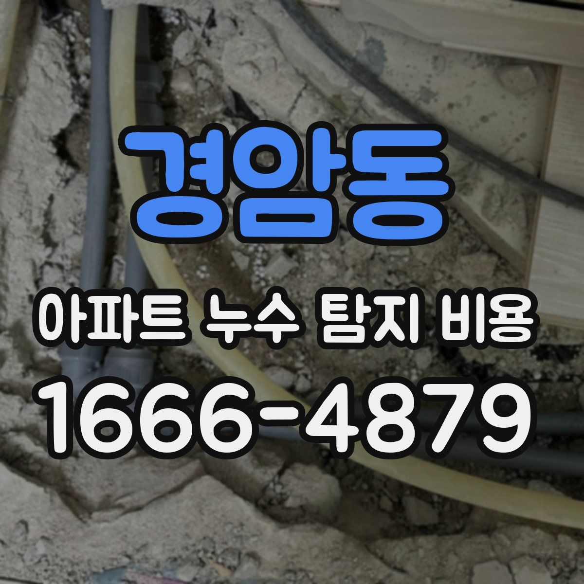 경암동 아파트 누수 탐지 비용