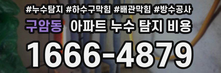 구암동 아파트 누수 탐지 비용