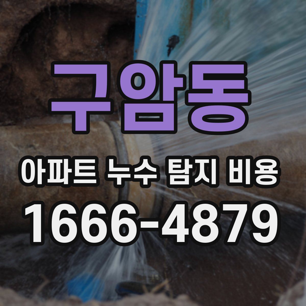 구암동 아파트 누수 탐지 비용