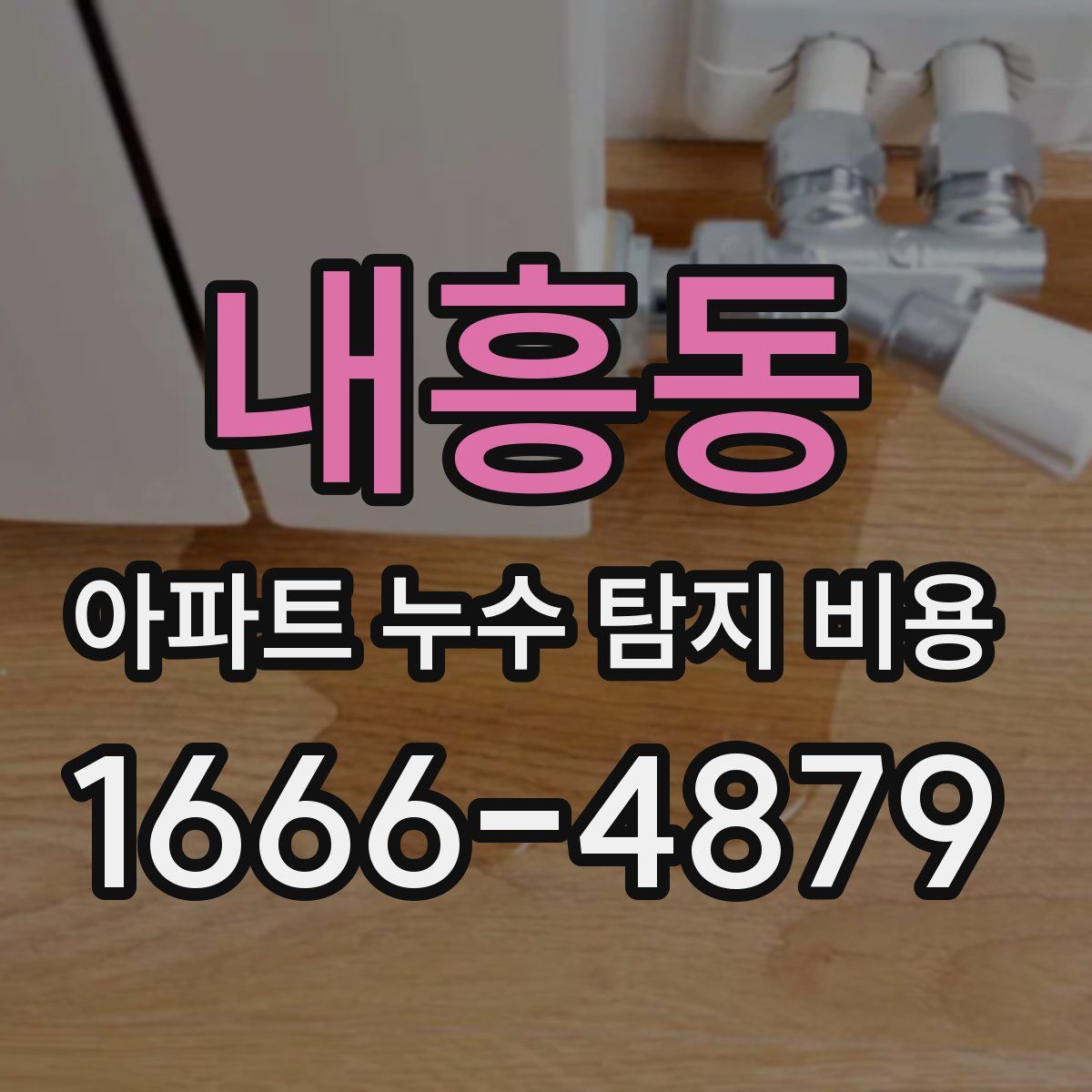 내흥동 아파트 누수 탐지 비용