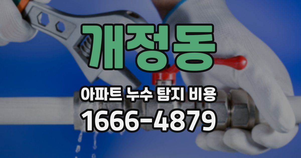 개정동 아파트 누수 탐지 비용