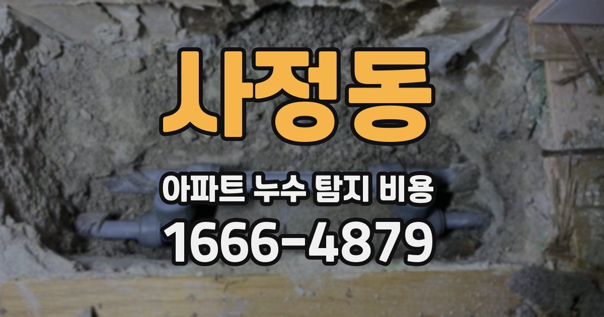 사정동 아파트 누수 탐지 비용